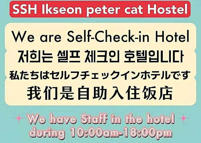 Ssh Ikseon Peter Cat ソウル特別市