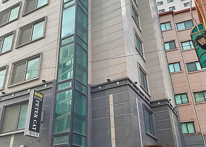 Hotel Ssh Ikseon Peter Cat